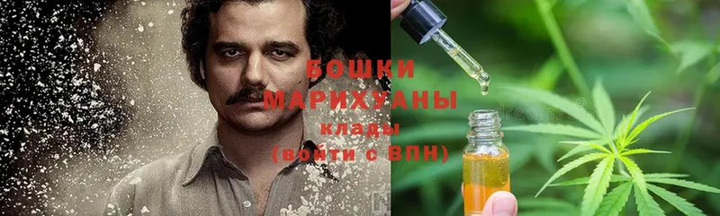 магазин продажи   Пошехонье  Шишки марихуана марихуана 